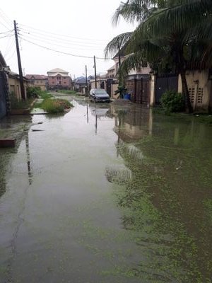 Hypolit78500308's profile picture. Be good to mankind