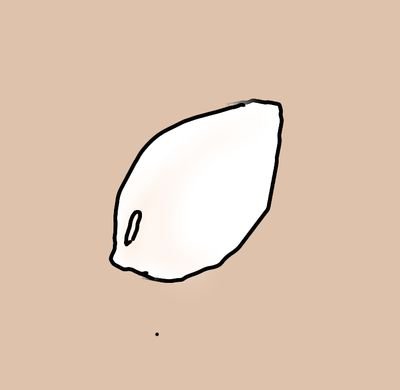 生麦さんのプロフィール画像