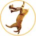 Save the Cat! (@savethecat) Twitter profile photo Save the Cat! (@savethecat) Twitter profile photo