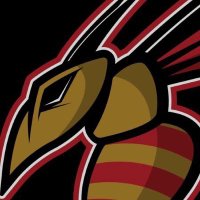 Salisbury Baseball (@sawhornets) 's Twitter Profile