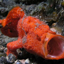 Steve Lovato - @lovato713 - Twitter