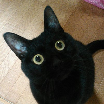 セミナーで勉強した評価方法の意図を自分なりにつかみ、バリュー投資の理解を深めていければと考えています。フォローさせていただいている方々からは、いつも「気付き」をいただいております。 本業はソフトウエア屋です。