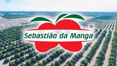 Sebastião da Manga is a family company with 24 years of experience in the market. The company has more than 430 hectares, producing 13.000 tons of mango.