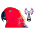 Michael Schell (@cribbageforum) Twitter profile photo Michael Schell (@cribbageforum) Twitter profile photo