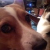 Hopper43 (@hopper43) Twitter profile photo Hopper43 (@hopper43) Twitter profile photo