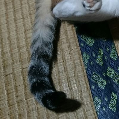 そまりあさんのプロフィール画像