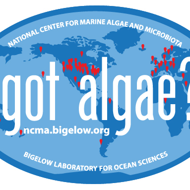 The National Center for Marine Algae and Microbiota (NCMA) provides and ships algae, bacteria, and virus starter cultures to over 30 countries.