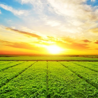 NOHU Tarım Bilimleri ve Teknolojileri Fakültesi (@nohutarim) Twitter profile photo