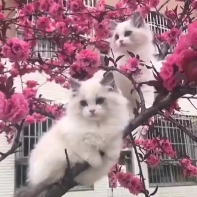 Qsok0beoc6nJ6TW's profile picture. 外出大好き🚶‍♀️❣️美容・料理・ファッションに興味あり！少しでも話が共感してもらえたら嬉しいな⭐️趣味がありすぎる💪最近の趣味は、痩身！痩せたいけど、なかなか痩せないのは、みんな経験あると思う。リアルな想いを綴っていきたい。最近政治に興味湧いてきた！