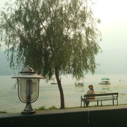 pokhrelisapana1's profile picture. रिसाएर 😠बोल्ने बानी हटाउन पाए
उन्को लागि खुशी😂😂 मात्र पठाउन पाए
सधैं happy😄😄😄😄 हुन्थ्यो जिवन 
अलिकति blood-pressure घटाउन पाए