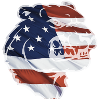 JacksonTravelBaseball (@angrybeartravel) 's Twitter Profile