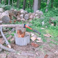 すこフィールド (@kouki4203150) Twitter profile photo