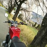またね (@ko8peof5zozchud) 's Twitter Profile