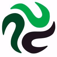 The RIO Org (@therio_org) 's Twitter Profile