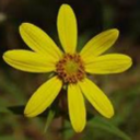 Bill - @Bill__Drews - Twitter