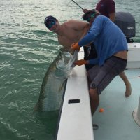 Tom Pease (@tompease13) 's Twitter Profile