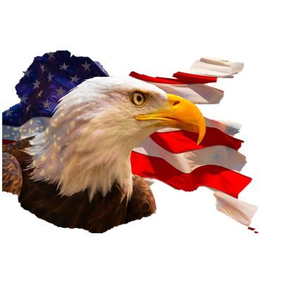 RedWhiteBlue4Me Profile Picture