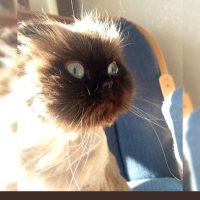 Mathav_23's profile picture. தமிழன். பெரியார்  வழி. தளபதி ரசிகன்..