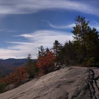 Cunniff Lab (@cunnifflab) 's Twitter Profile