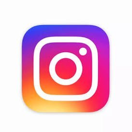 official instagram bugs and reports taking team