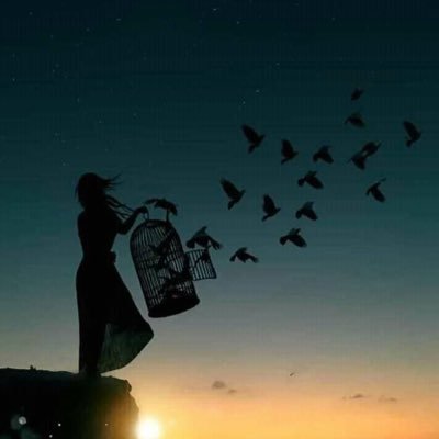 lara25099686's profile picture. 