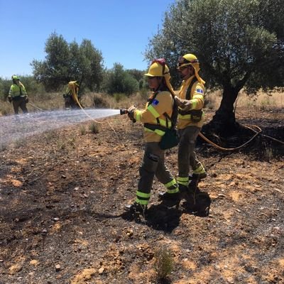 Especialista forestal en la base  de retuerta del bullaque