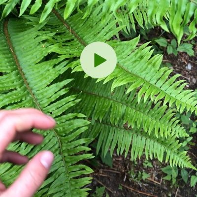 gloomy4u's profile picture. thought you should know!