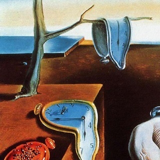 secfly88's profile picture. 