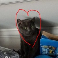 Corehero (@corehero__) 's Twitter Profile