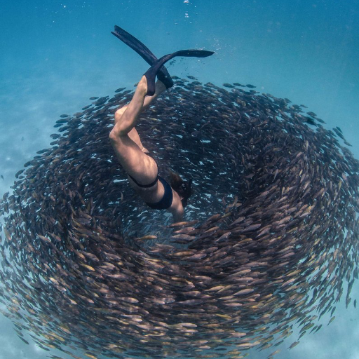 SamuelBlaine3's profile picture. futurist, love energy options, logic, science fiction, nature