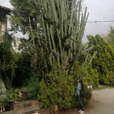 gamzuli's profile picture. 