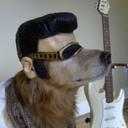 jeonghoon.kim - @Hoony_ALisWeLL - Twitter