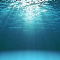 Floating Cities Institute (@floating_cities) 's Twitter Profile