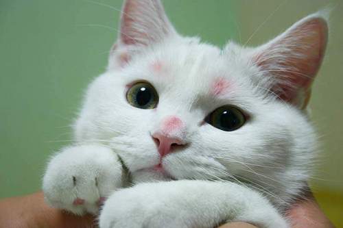 cleareye2000's profile picture. 