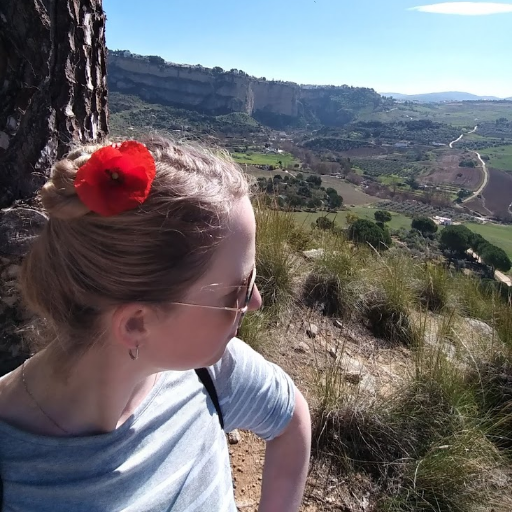 LydiaRediske's profile picture. My spaceship has no idea which way to go.