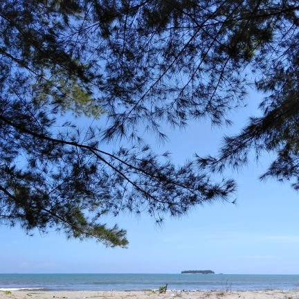 vani_jasviani's profile picture. Nobody promised life would be easy