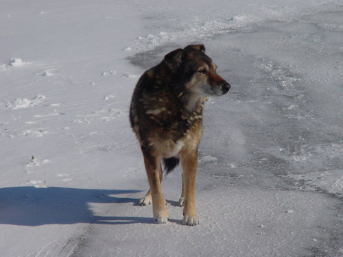 Ramaries's profile picture. Safety nerd..... Opinionated 1960's activist.......... doing it all over again. Hate Twitter quizzes... will block 😊