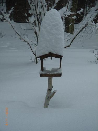 週末は旅行か、食べ歩きか、北軽井沢に行ってます。
