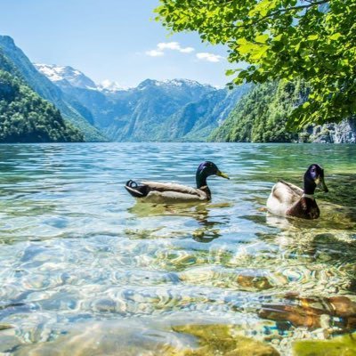 SunnySiddhant1's profile picture. anupam