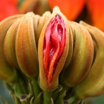 PurpPet's profile picture. My actual interests and desires