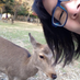 Gigi Lau (@gigilau) Twitter profile photo Gigi Lau (@gigilau) Twitter profile photo