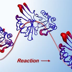 Professor of Chemistry, University of Bristol. Computational chemistry,enzyme catalysis, biomolecular simulation,HPC,antibiotic resistance.Views my own, not RTs