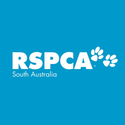 ACCOUNT NO LONGER IN USE! Established 1875, we're SA's leading animal welfare charity dedicated to saving lives. #rspcasa