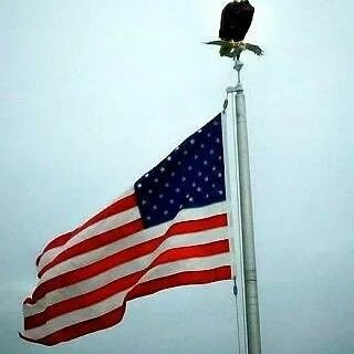 live n Ga, not Rep or Dem, common sense will take u a long way in life, God BLESS AMERICA # jobs not mobs.i like Beer. #KAGR8