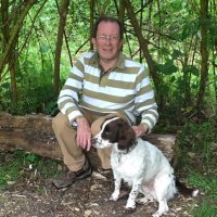 David Burch (@burch1954david) 's Twitter Profile