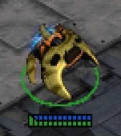 ppangshuttle's profile picture. 