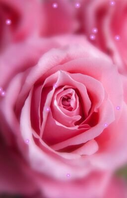 argcPguQF1azZ43's profile picture. تاج الوقار