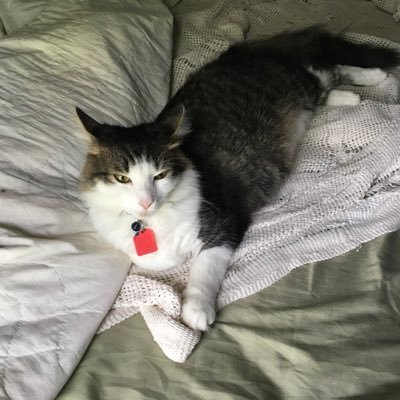 CathySp81849873's profile picture. Retired doctor, artist