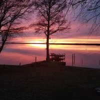 Don (@riverratt59) 's Twitter Profile