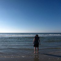 Stineke van Houte (@stinekevanhoute) 's Twitter Profile